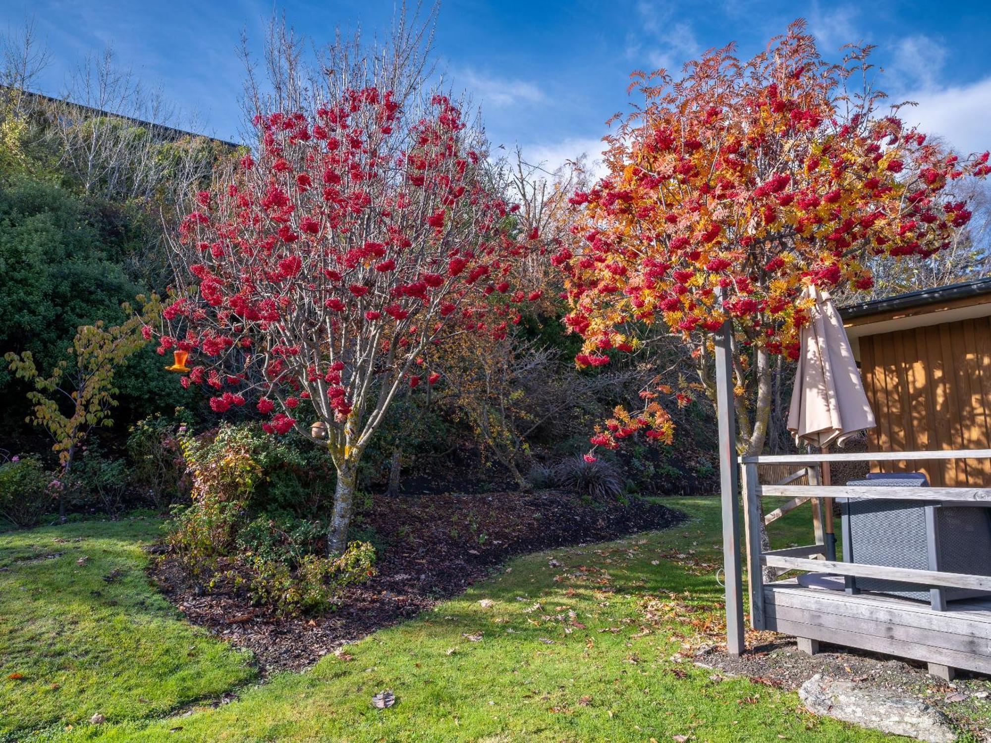 Wanaka Springs Lodge エクステリア 写真